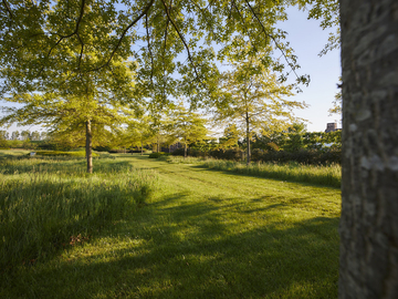 AF Fotografie AF C4936