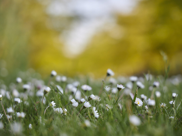 AF Fotografie AF C4985